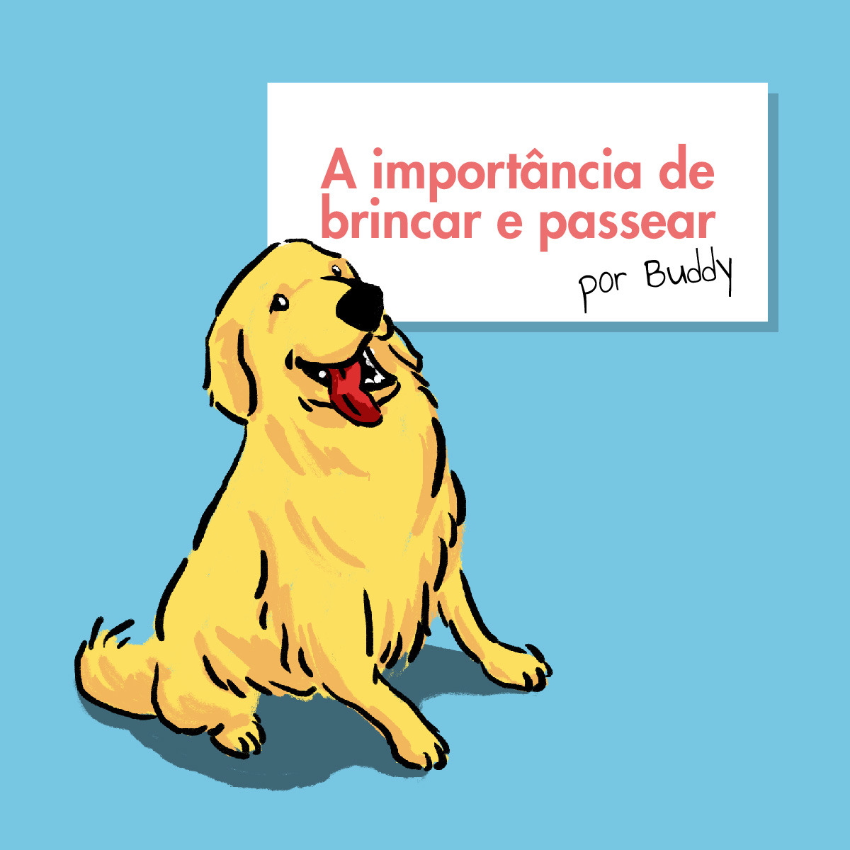 A importância de brincar e passear - por Buddy